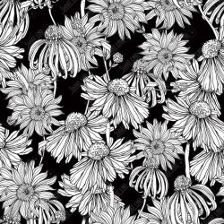 DC 01259 W2 DM 42 335 2 Black Sunflower 507 X 507